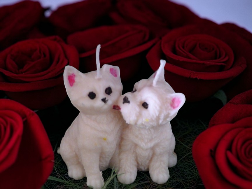 (image for) Hond en Kat Kaars